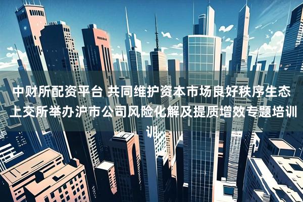 中财所配资平台 共同维护资本市场良好秩序生态 上交所举办沪市公司风险化解及提质增效专题培训