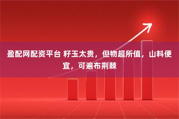 盈配网配资平台 籽玉太贵，但物超所值，山料便宜，可遍布荆棘